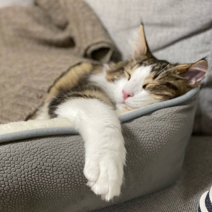 7da881b1 62c1 428a a61a d5909e2c94d3 1637585771636