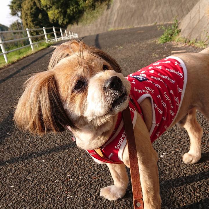 7da88ae2 70ac 4a86 9339 cc2bbe3bd3b7 1586005008721