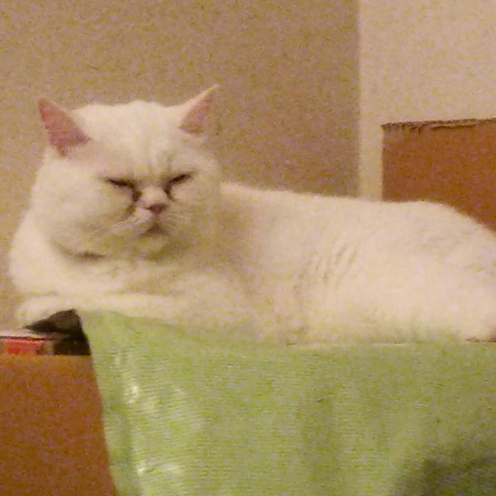 7da898c8 8c9a 4129 b2f9 13e16a076264 1531088904913