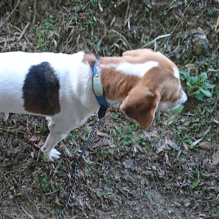 7da89bb4 3232 473e 8813 5367127f73a9 1573543194245