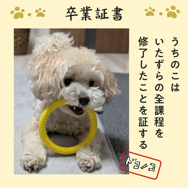 7da89dc2 3bee 4077 8a51 2640b1bece76 1772111953599