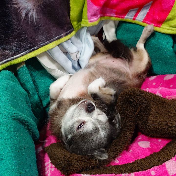 7da8e743 b658 4d49 b32e 97571cfa5d55 1762045936697