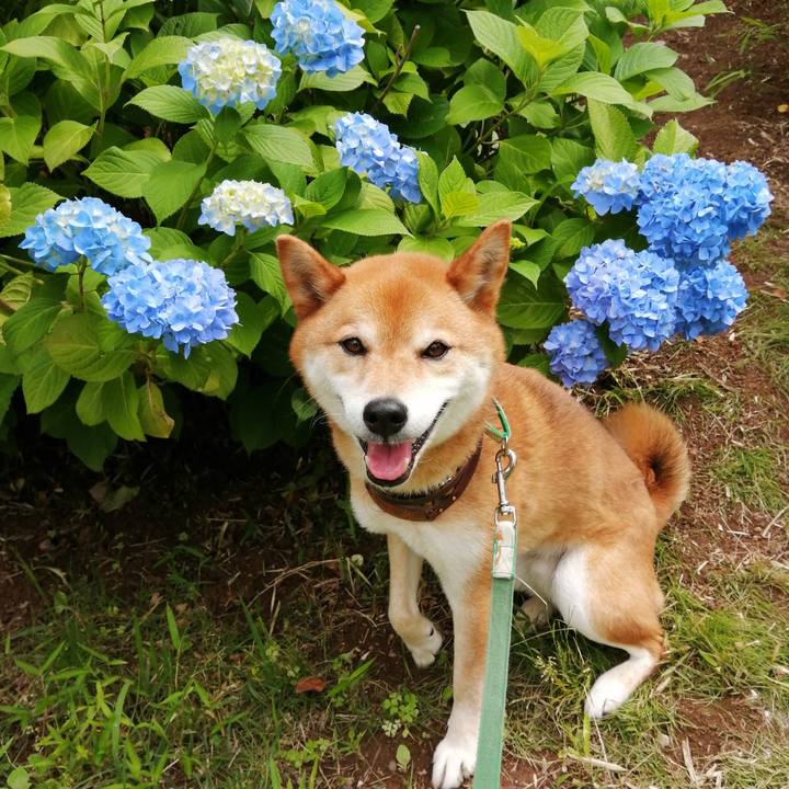 7da9125c 0ba8 4323 9732 b67e0b2be73b 1622603539243