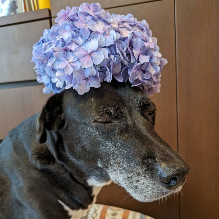 7da912b6 6f60 47ff 968e e6ee3a8326e6 1718258913181