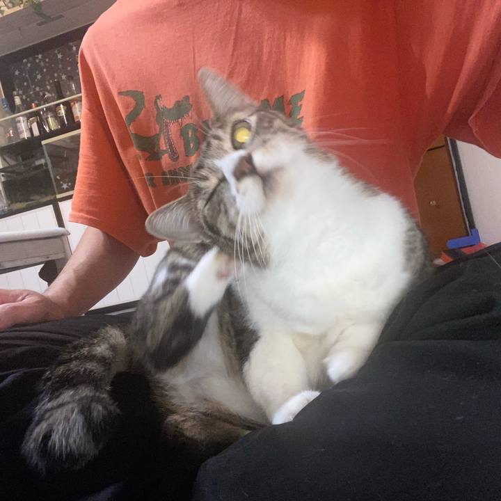 7da93368 9cd2 4a9e 8c58 1138d81ade8b 1630951091209