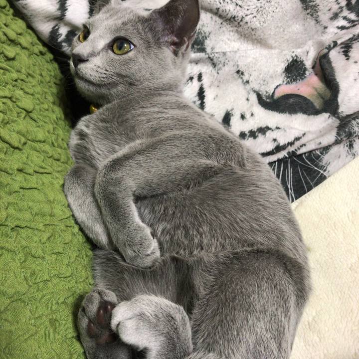 7da989fb 35cb 4fca 9e43 fdabc134ee95 1508812279672