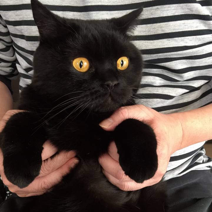 7da99555 c6ff 405c aace e4f75fe1845c 1590273098263