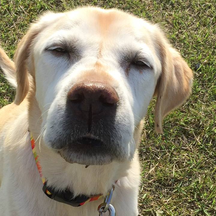 7daa01a8 9487 4ac0 8b47 ec15a6134ec5 1558496717364