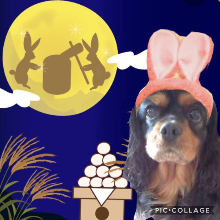 7daa1920 d438 41e6 aa87 504fc4e3add5 1568370548565