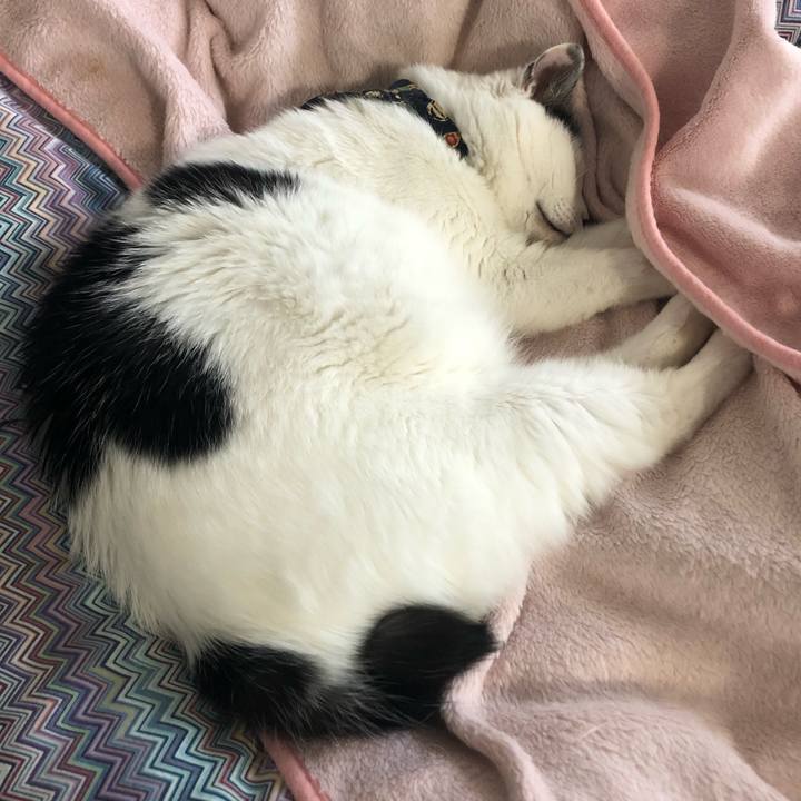 7daa307d f5a7 4a14 988f 78c7c0161d44 1573083381688