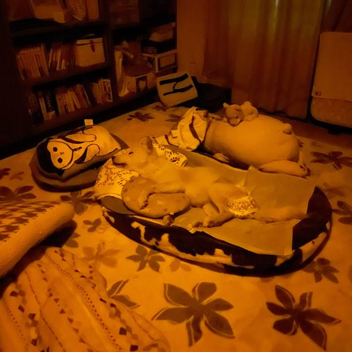 7daa49b1 c076 4c4a b7e9 9a56bfa8dc8d 1682005990977