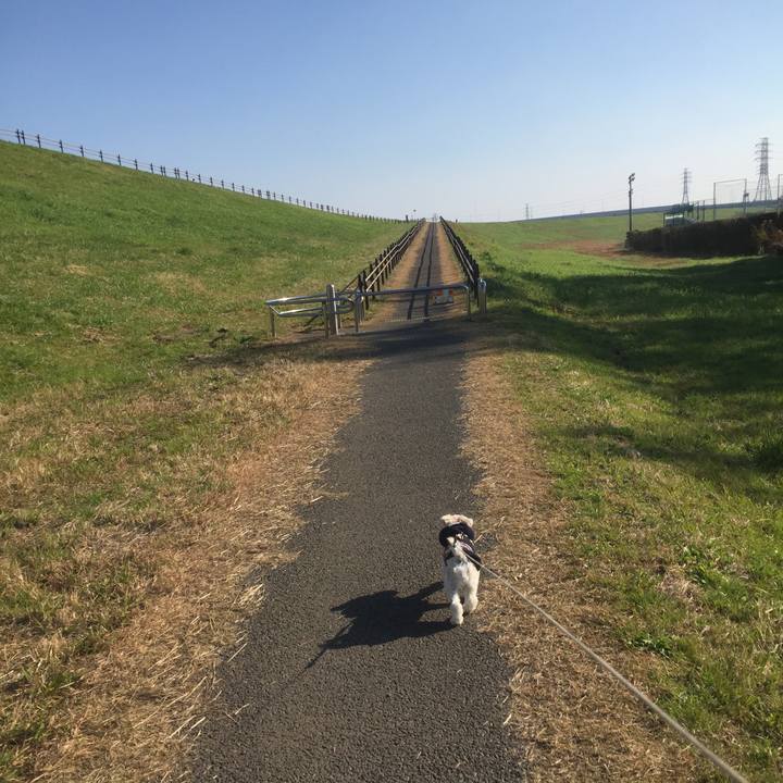 7daa4f71 e786 4e0b 827e e1ef45c350bd 1512298600914