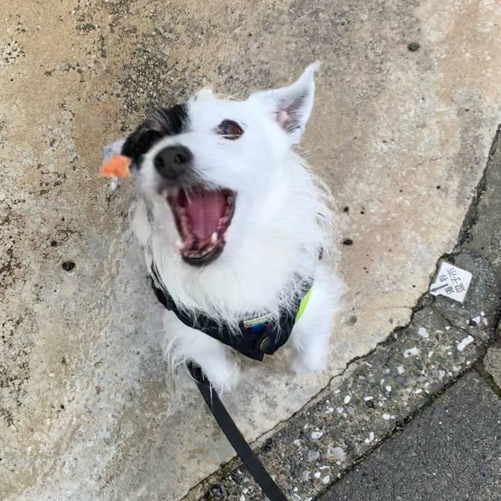 7daa505d ac62 43c9 8996 267a8e802d81 1741137393340