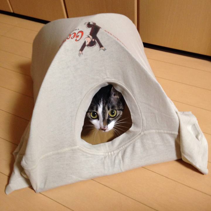 7daa6dd6 047e 48e5 be3f 496a69e3f164 1509177728424