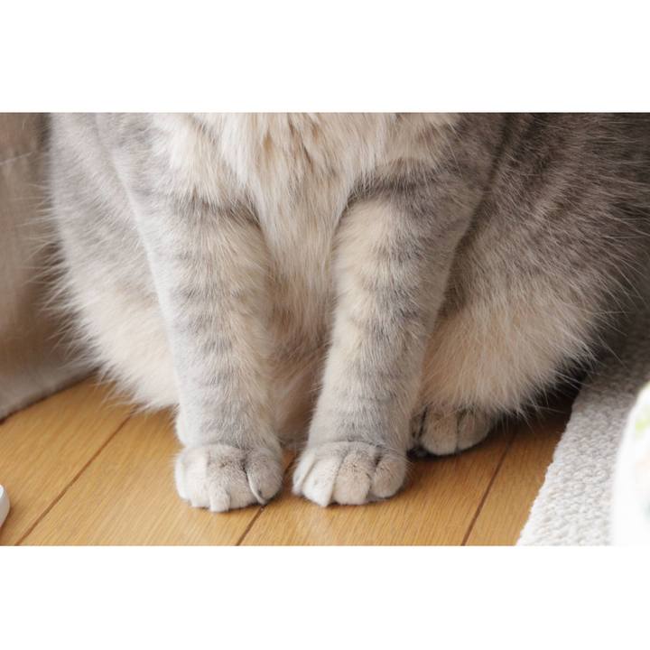 7daa7e02 f56e 4454 a6a8 530b9e9e6f02 1600053867143