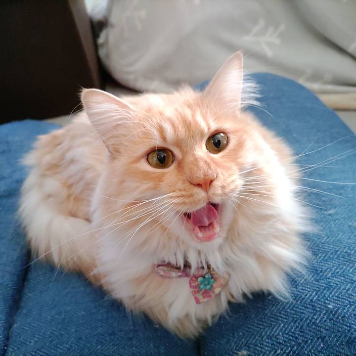 7daa81a2 8193 44e3 a050 048a5456ca46 1672629600424