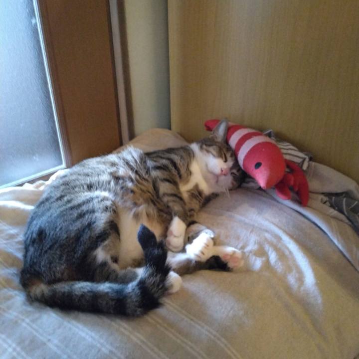 7daa929e c668 45f3 b767 5b809fdd90a7 1659703317094