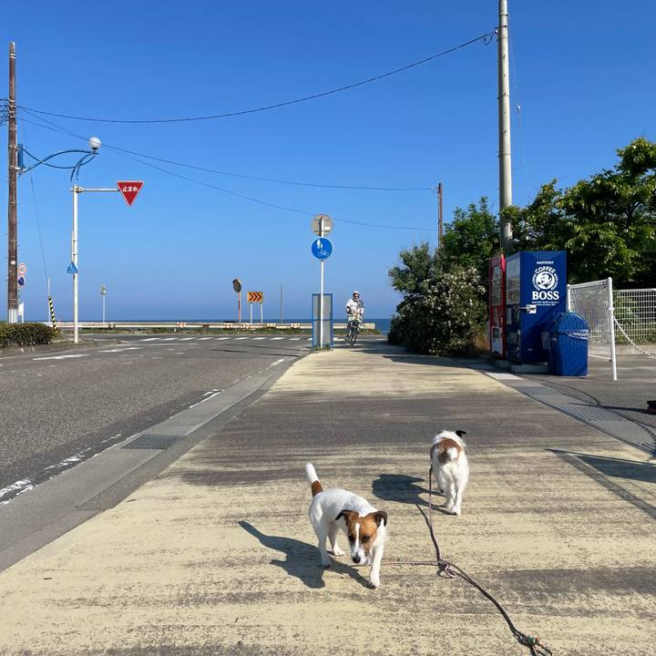 7daa9b3c c15f 45e0 b9aa eb594f4b0ac5 1653349378627