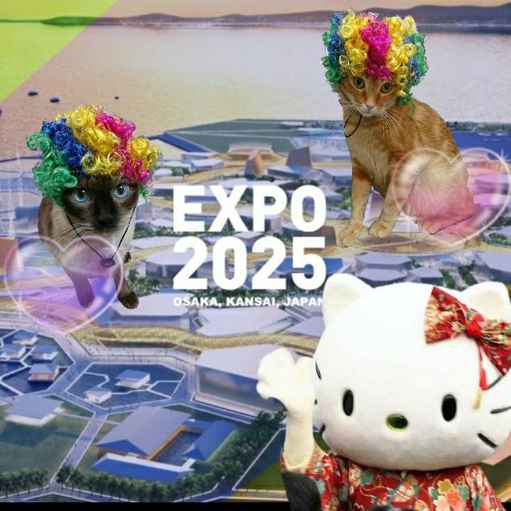 7daaa176 293a 457a a0ed dd5b1ddf76ab 1543027175266