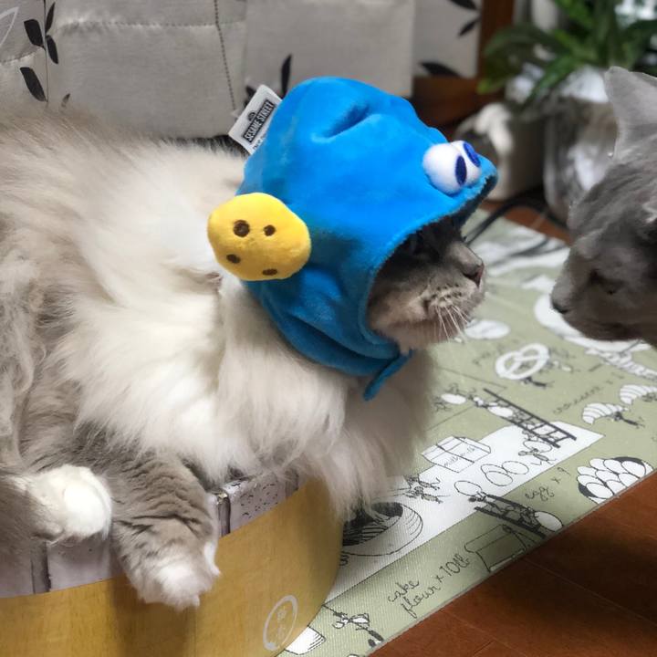 7daaca14 d752 41bc aeb4 f2280cb0bc2f 1545661043243