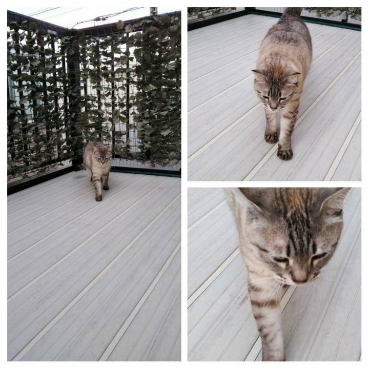 7daad36c 3d09 4fa3 9e7e 88146f2ae7f0 1615086572792