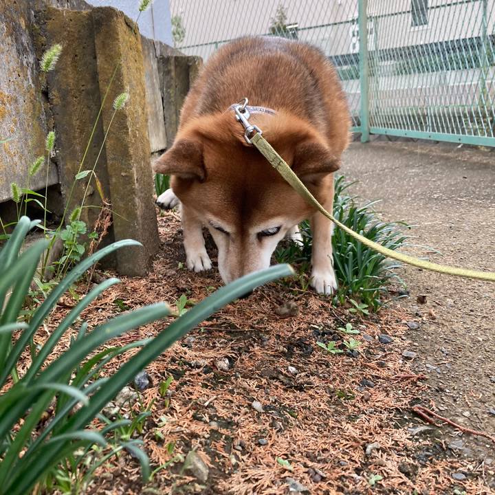 7daaf668 8592 4c11 a2bf 9798d363b691 1634607695350