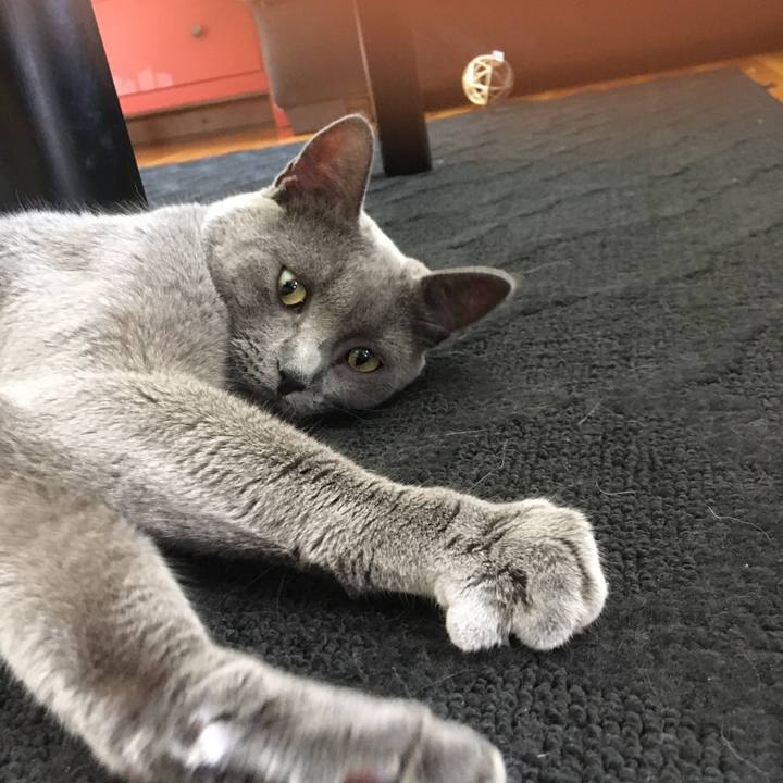 7dab11ff 609b 4852 a4f5 3675bc0ebe0c 1625717600609