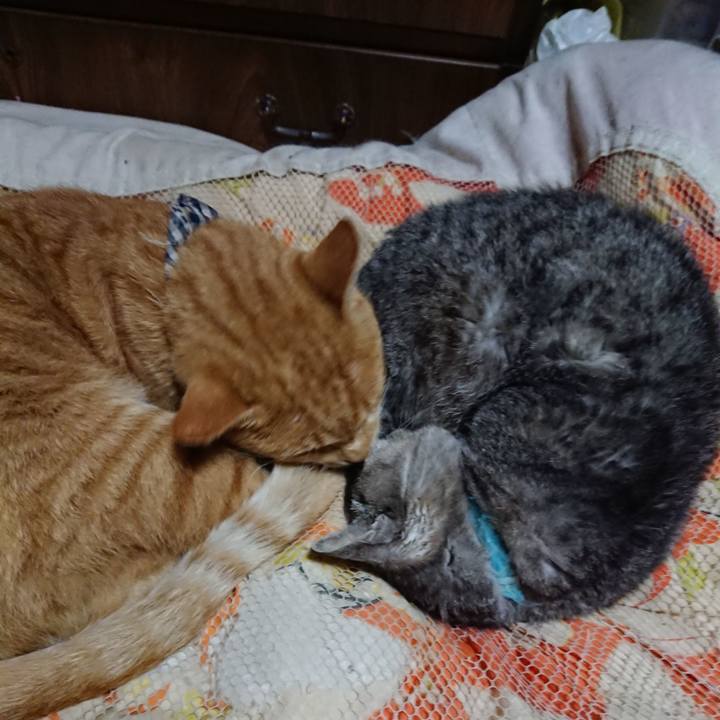 7dab4875 ade4 41fc 8623 bd40a0ef66ca 1572522694076