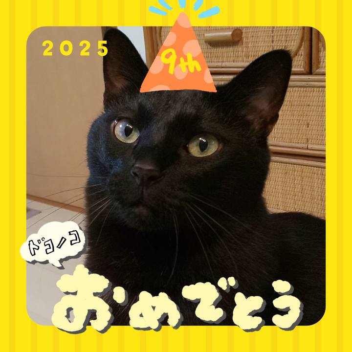 7dab4e50 c41f 4bd3 9f6e 8bc13f811aaa 1749130601287