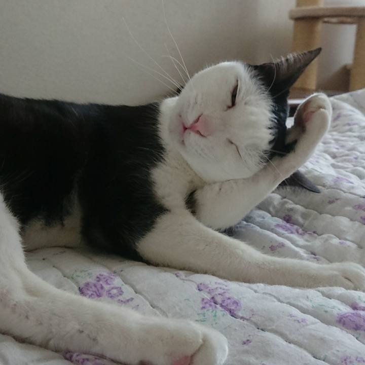 7dab68f7 a500 44d3 8c85 bd8bf399a91f 1528165137748