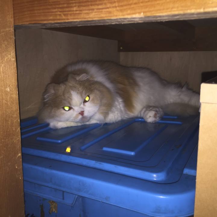 7dab6f67 21da 436d be95 a9fddcad5b32 1521601077158