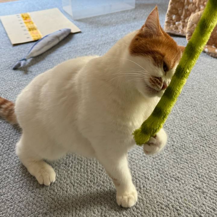 7dab8edf 4165 424d b965 c724f6945c29 1768119706783