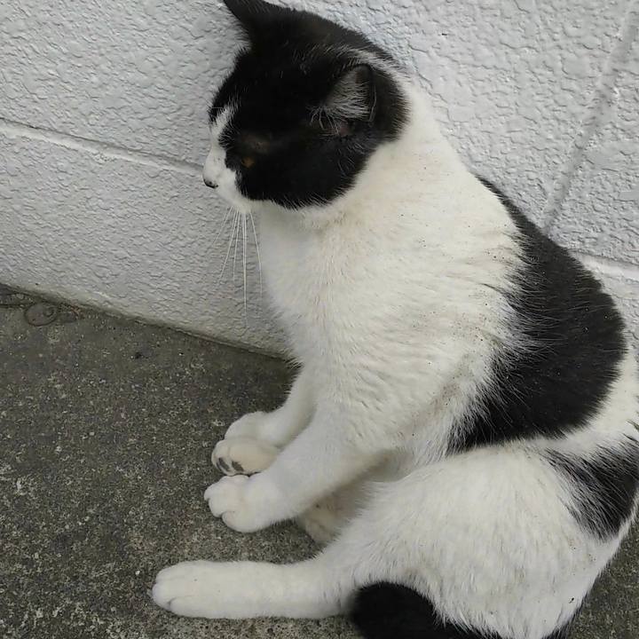 7dabad19 f7ce 4f3c a2c0 a1cf85961856 1549163529400