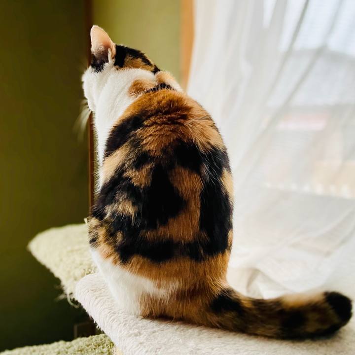 7dabb2b0 633b 4b7f b77f fbe08a1ab0fc 1608518376043