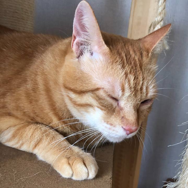 7dac0d24 77b8 4b3f bc5c 49f8b764b7f0 1600497508004