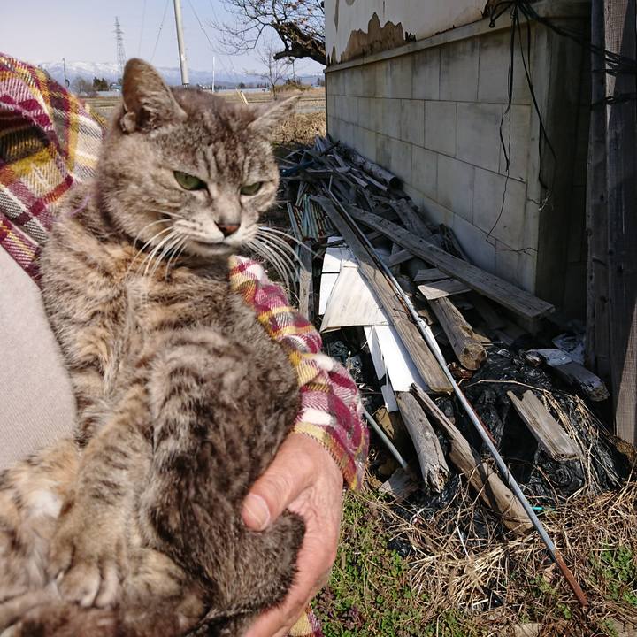 7dac2bb4 12da 436a bda7 ff12bab3b3f5 1584755014461