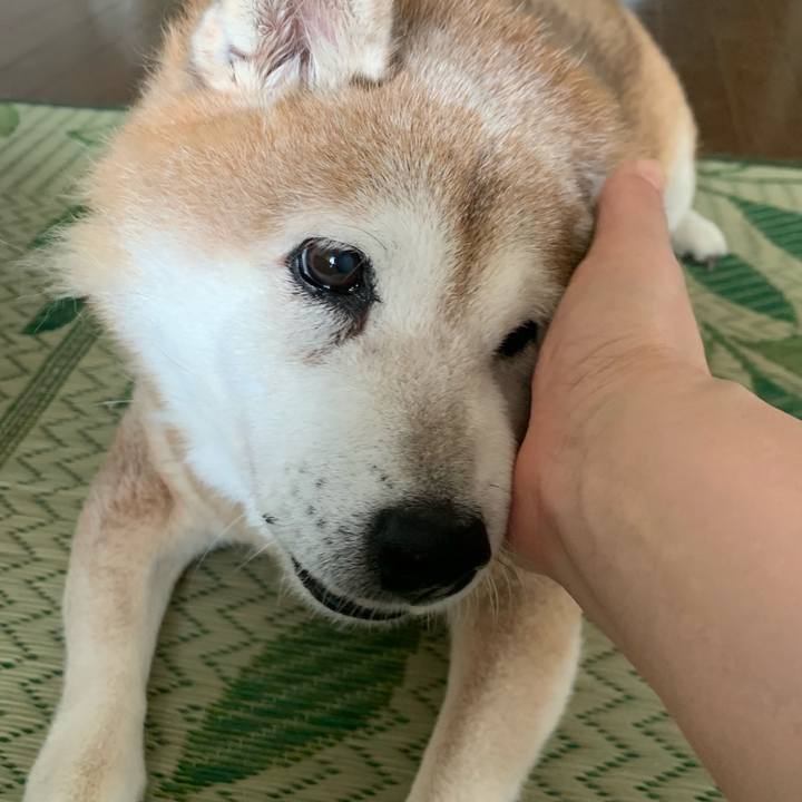 7dac3790 b0a7 4b6b a617 1d476385b705 1624274287487