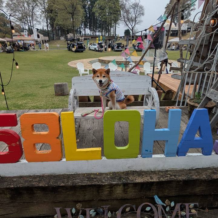 7dac86b4 03ac 4419 84ec 5eac0f66fd5e 1745407569155