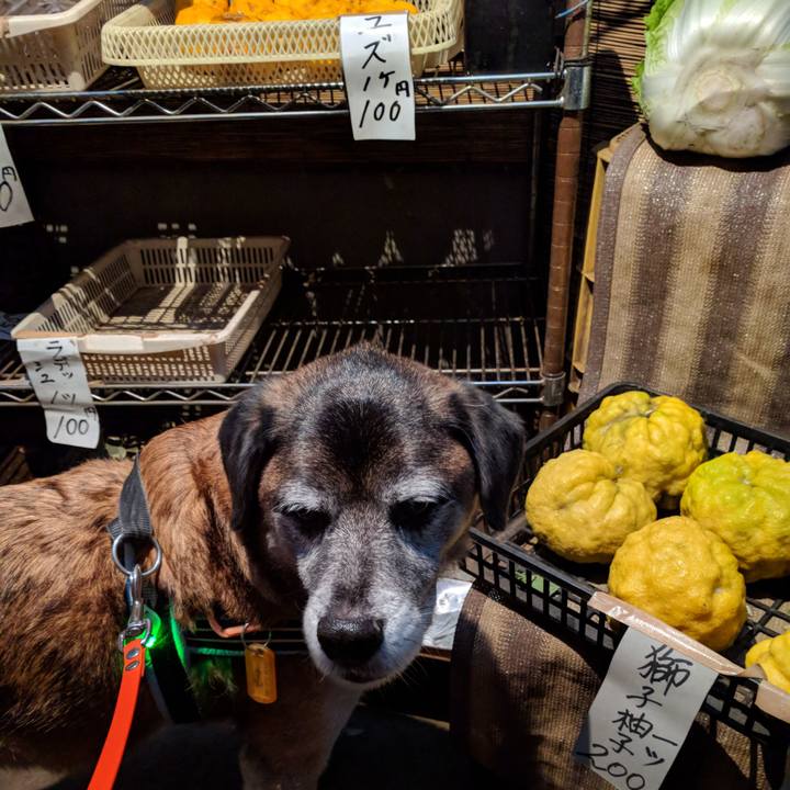 7dac88ff d4c5 4c0b 84cc 4e81a5be4cfc 1512817292306