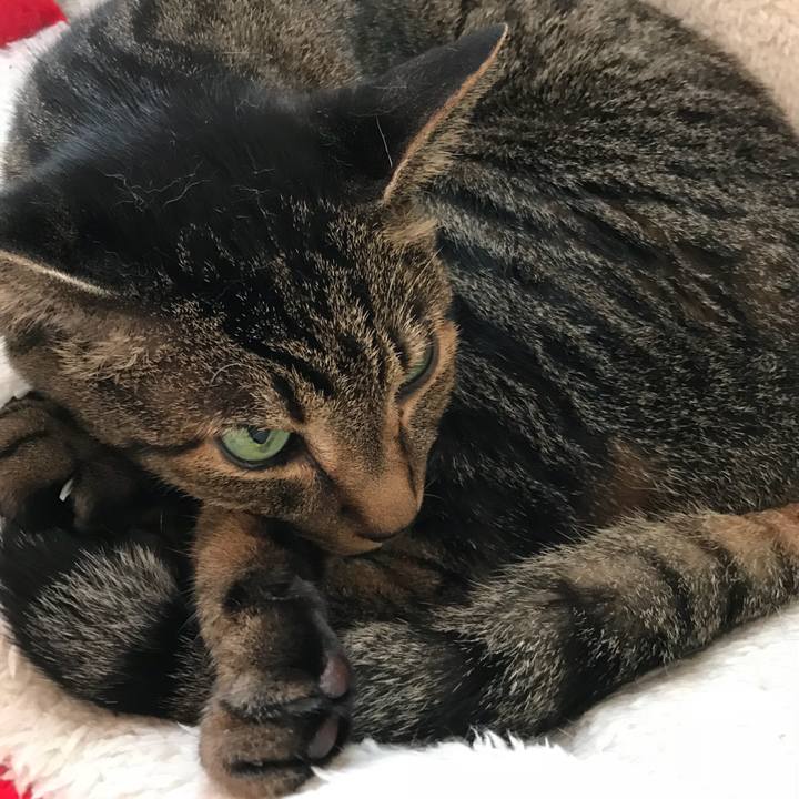 7dac8d8a f43e 48f2 8d21 f083a4ed7493 1533081190479