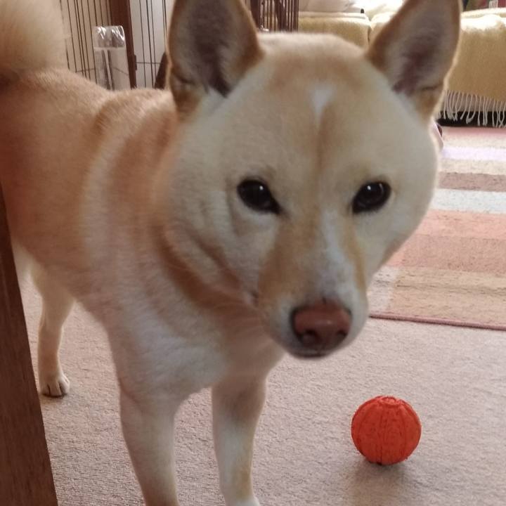 7dacdb57 95c2 4a8a 81c4 cc105ac9f657 1554503431748