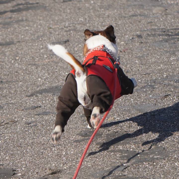 7dace554 f681 446c b999 66714fe836b7 1516058798981