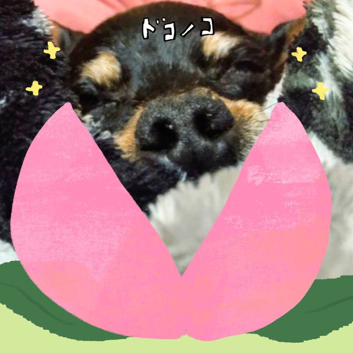 7dacf9ce 19ce 4b3b a7b9 5f5d6ca5cf49 1772425438073