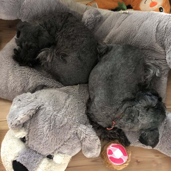 7dad1b43 79c2 44aa 870d 637defdadd3a 1580946935114