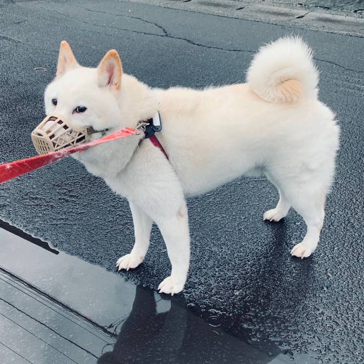 7dad37d3 9467 43cf a7fe 0c4c8874d1d1 1600033384453