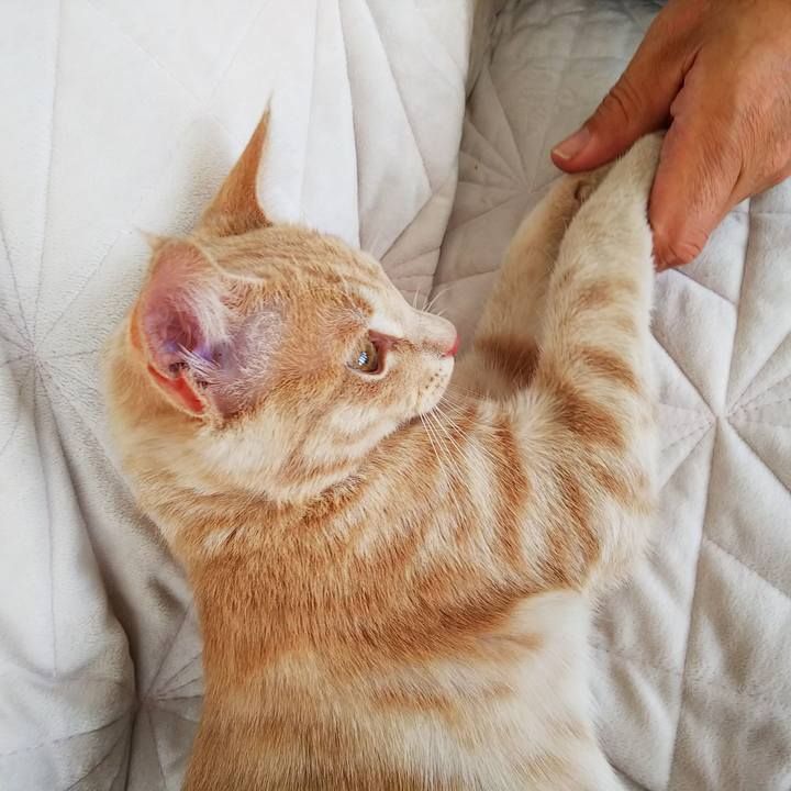 7dad47b3 77f3 4299 9f18 a04aabbcfb8e 1544323630168