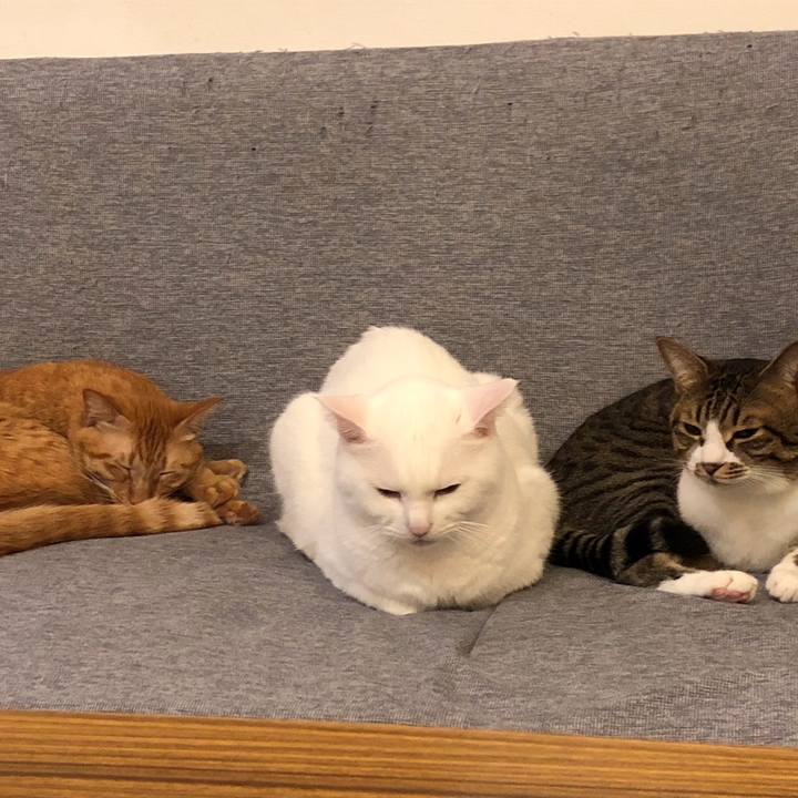 7dad60fa 905b 46b1 8d6c deee8248e07c 1730591281498