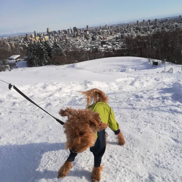 7dad6a74 d58b 4e40 8aab e720c546da99 1548638585887