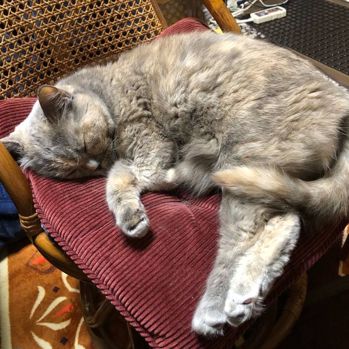 7dad7e6c 9372 4d24 9d50 8e06444fa078 1670937211588