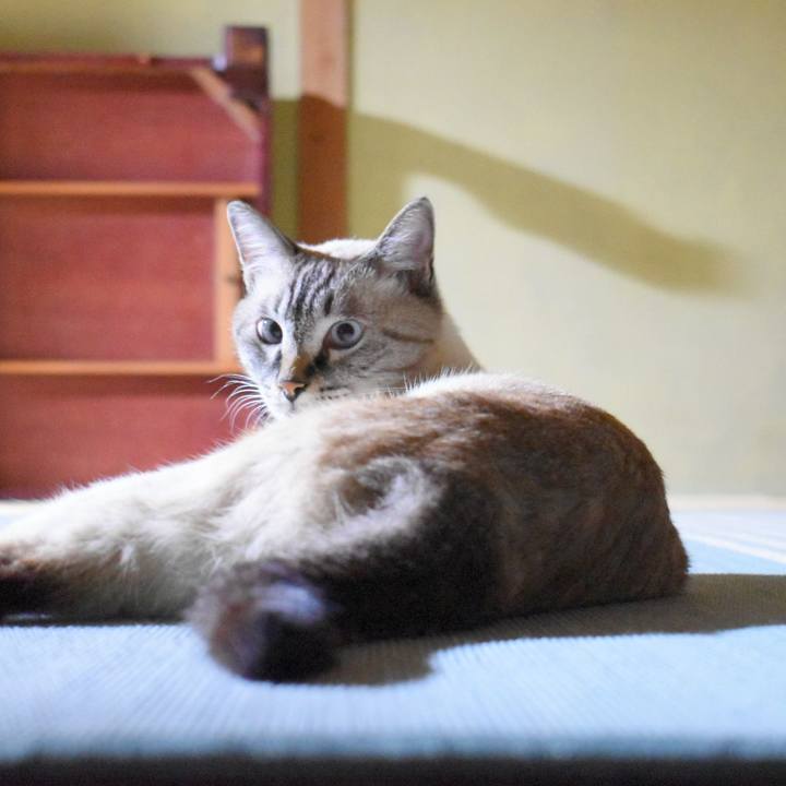 7dad7ee6 7024 4371 8f66 ca0d2bc46b2f 1537351274973